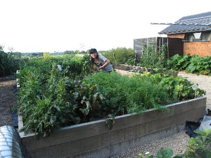 WWOOF Image 0