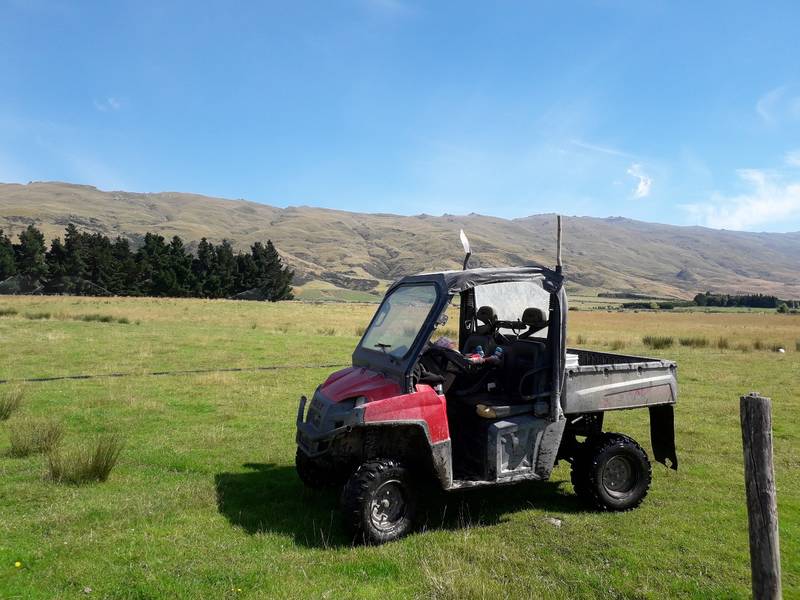 WWOOF Image 0