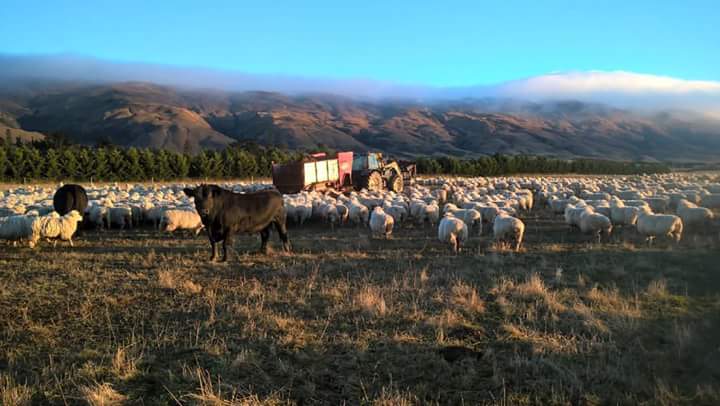WWOOF Image 0