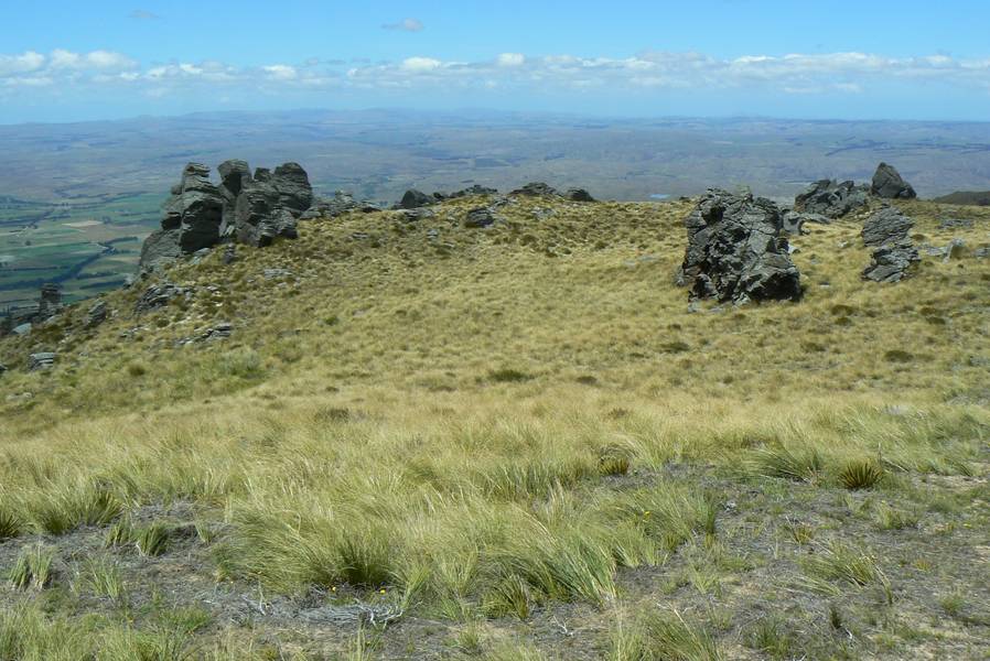 WWOOF Image 0