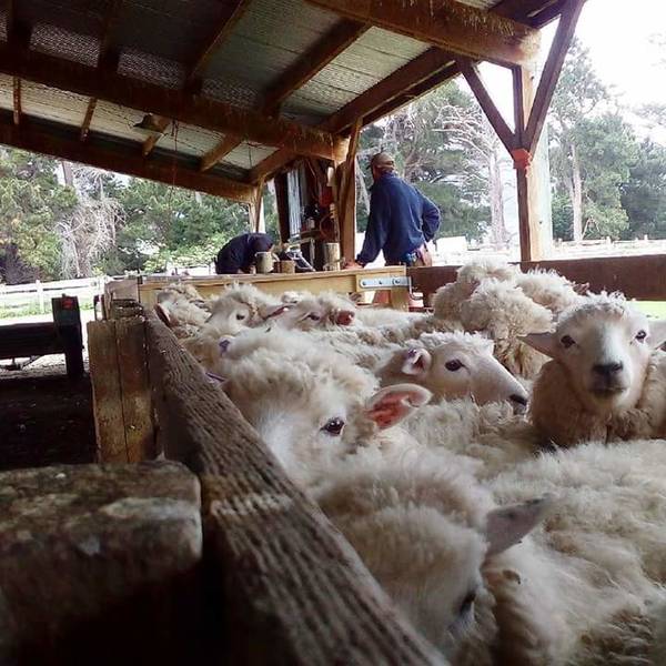 WWOOF Image 0