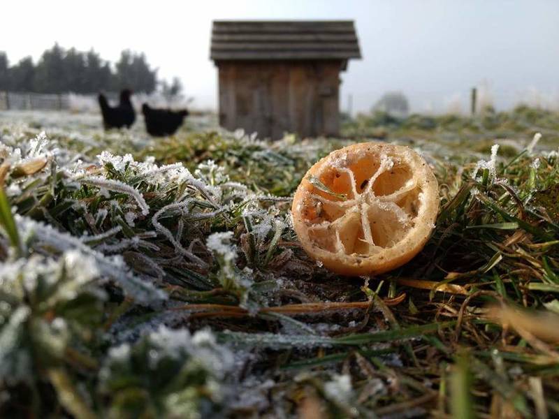 WWOOF Image 0