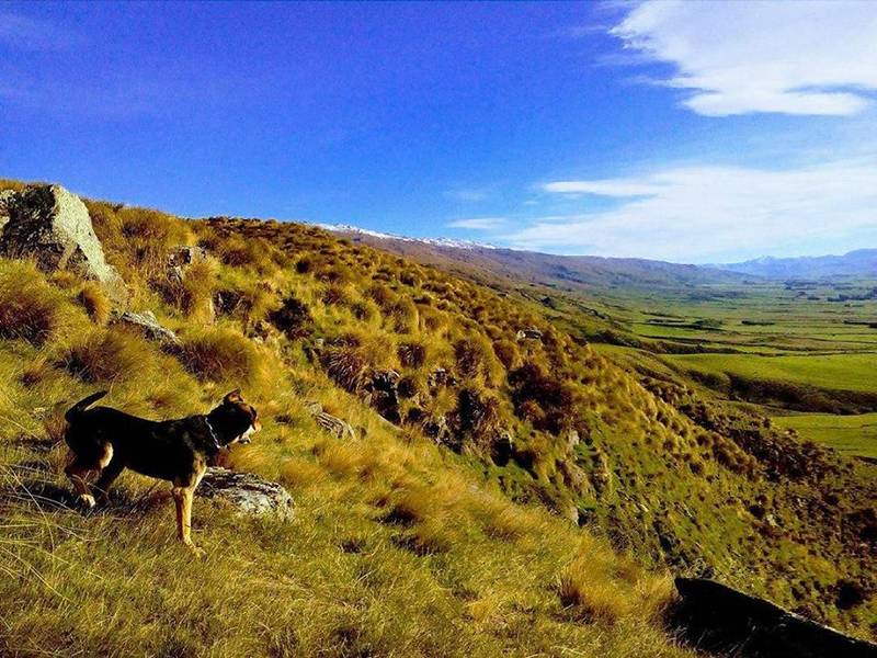 WWOOF Image 0